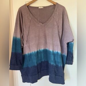 Hummingbird Ombre Oversized Pullover V-Neck - Large